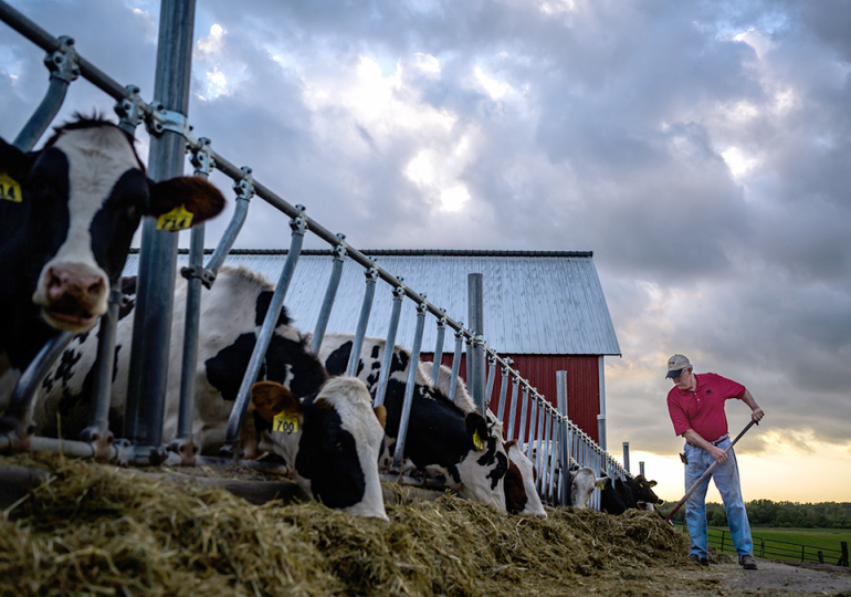 Minnesota declares state of emergency as diseases cripple Midwestern farms