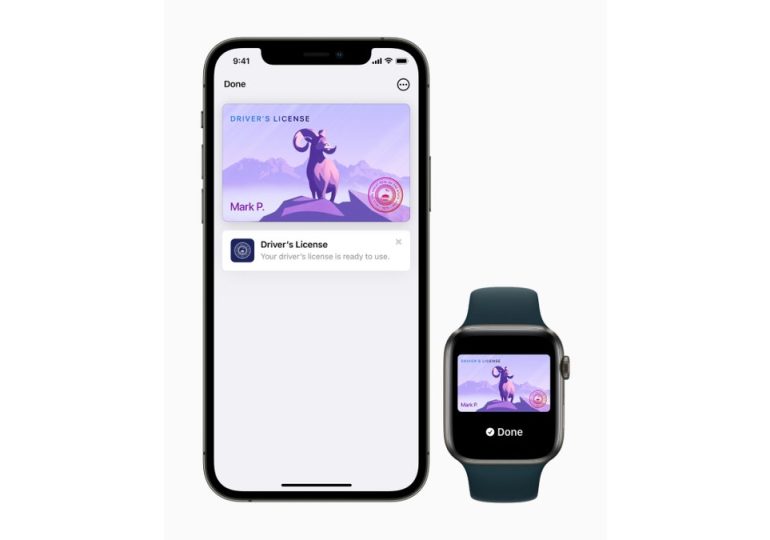 Stop carrying your physical driver's license and add it to your Apple Wallet