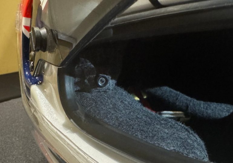 FOX's Driver's Eye set to debut Sunday in Long Beach GP broadcast