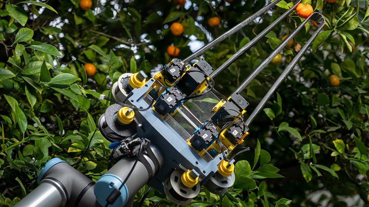 Robotic and drone tech make fruit picking and handling easier