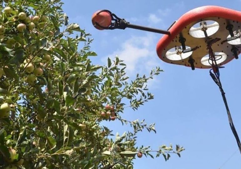 Robotic and drone tech make fruit picking and handling easier