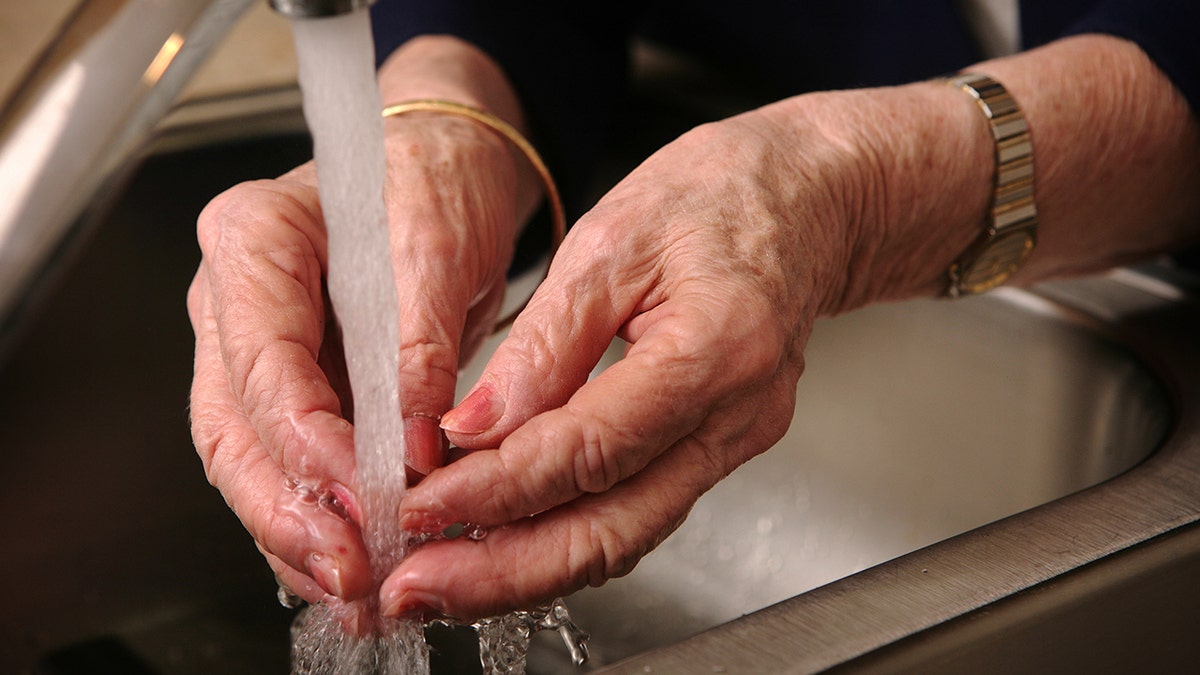 A pair of hands belonging to an older woman. The hands are being washed under a faucet in a sink.
