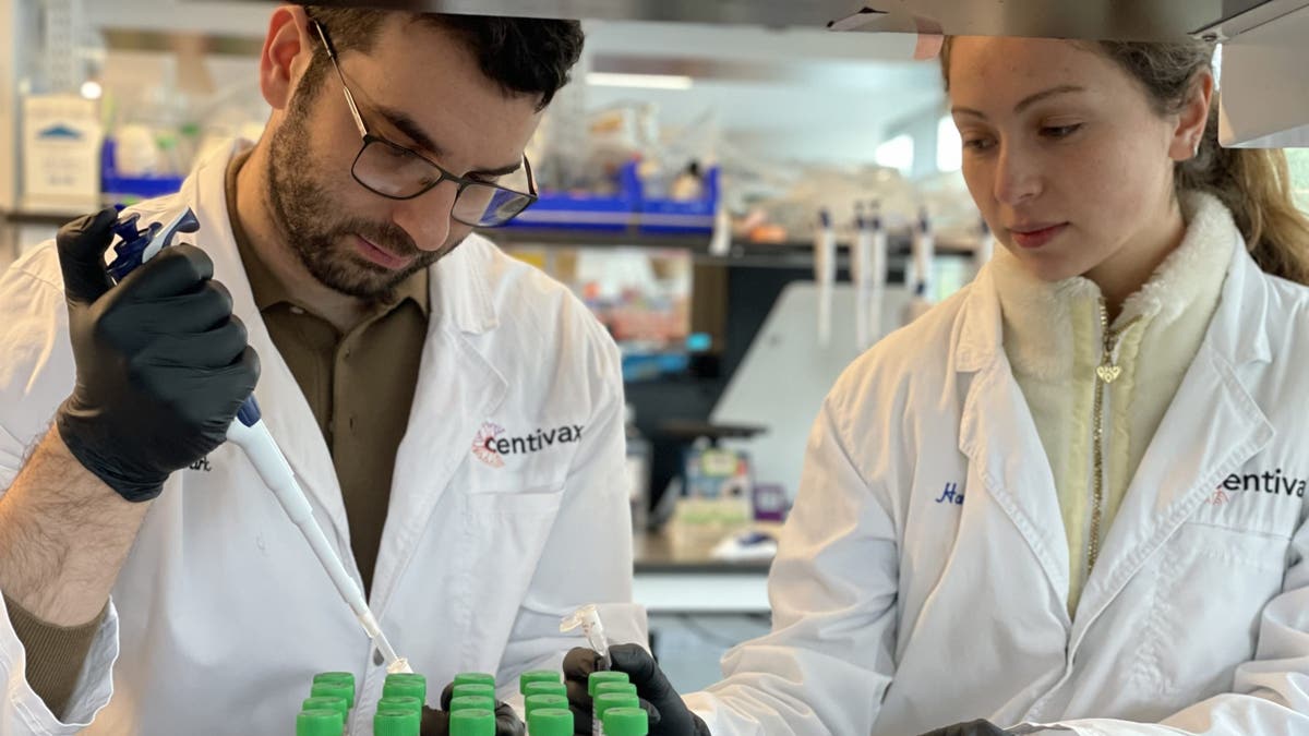 Laboratory - snake study