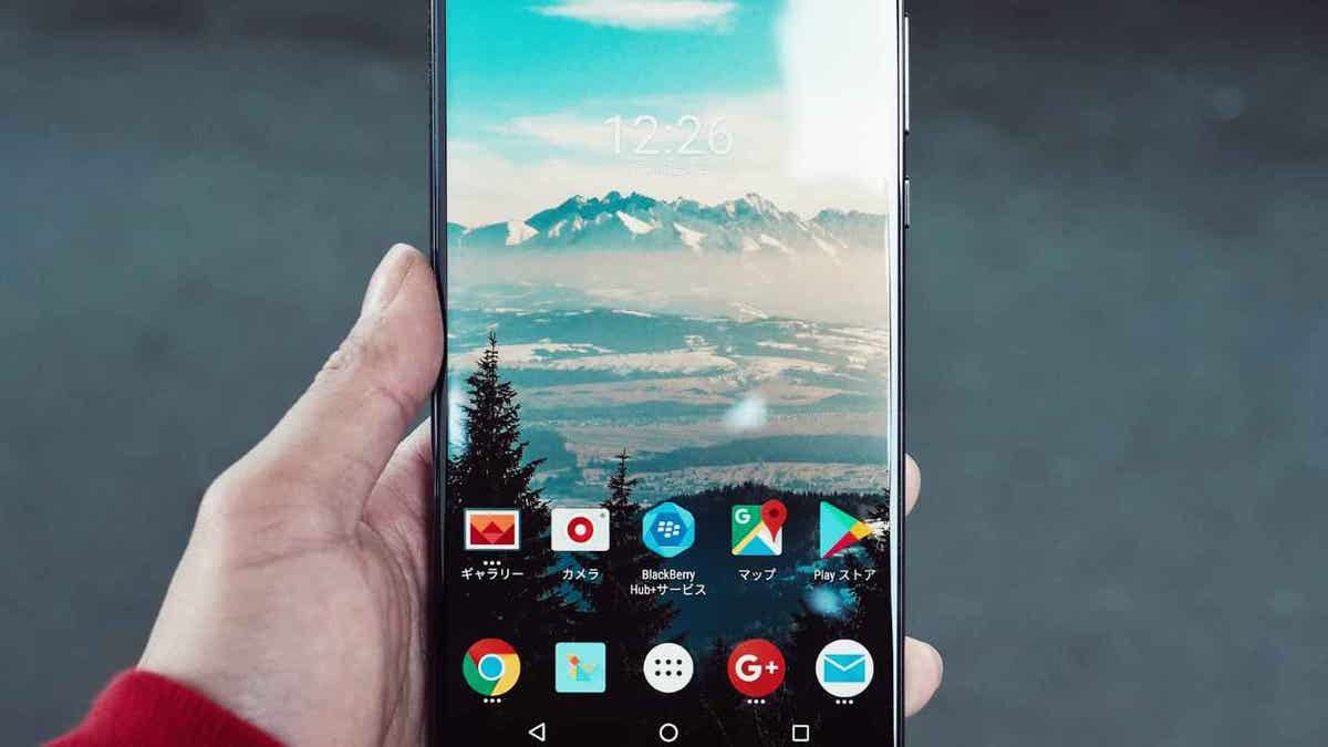 person with cellphone