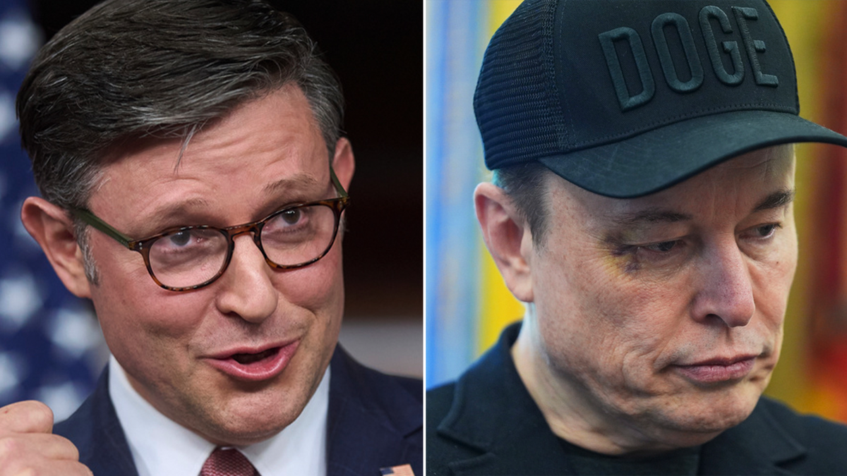 Split image Johnson-Musk