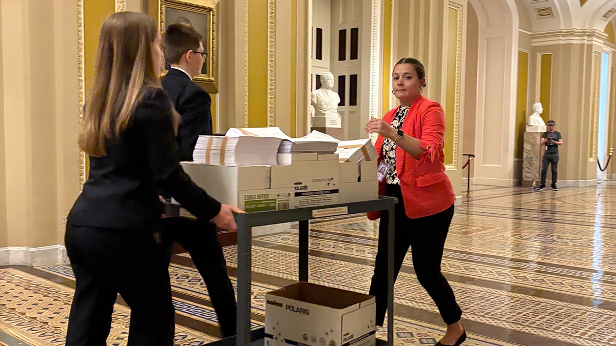 The Big Beautiful Bill in boxes