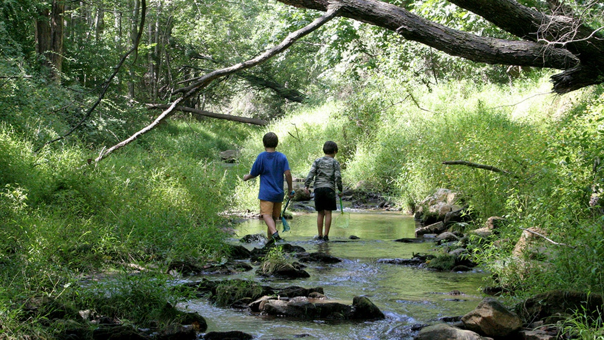two boys exploring stream