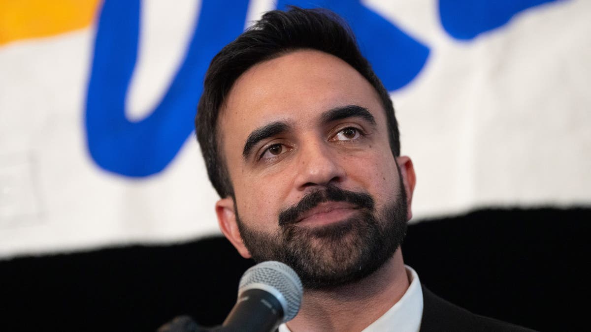 Zohran Mamdani speaks at his election victory party