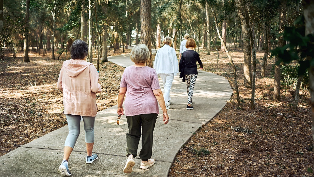 Rear view of a group of senior women enjoying a walk along a scenic park trail