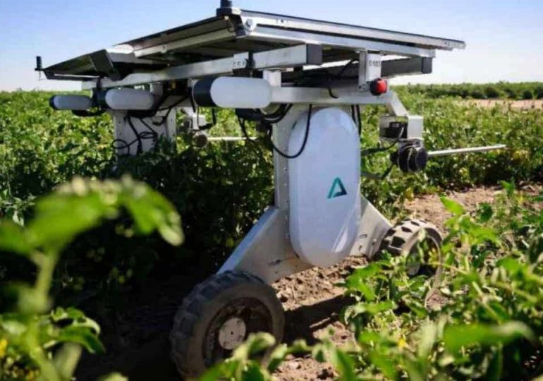 Solar-powered robot zaps weeds without chemicals