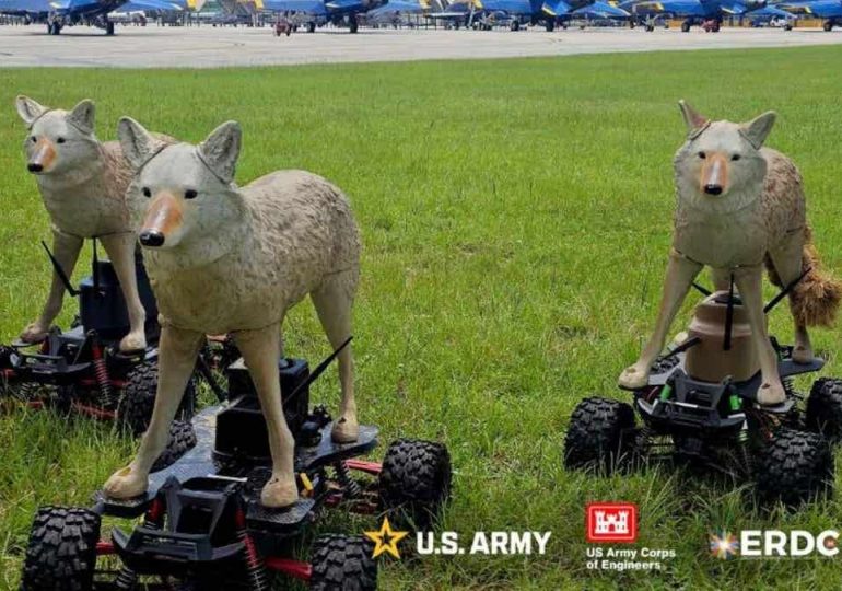 US Army tests robot coyotes to prevent catastrophic bird strikes