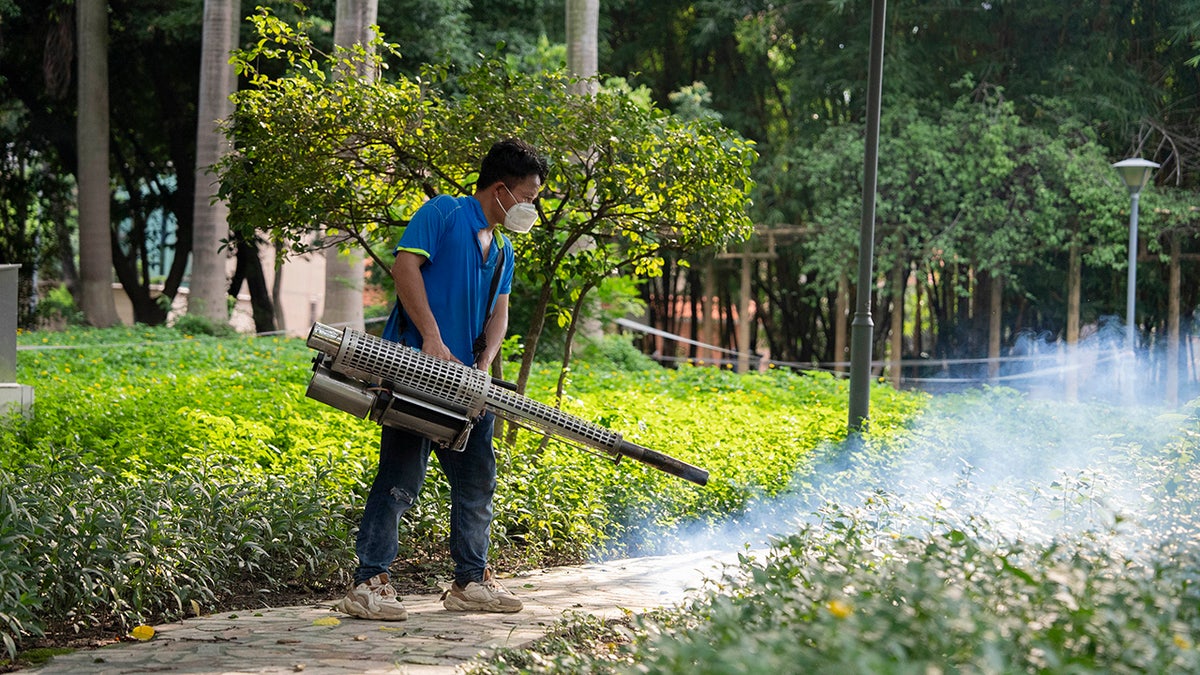 Worker fighting Chikungunya virus in Foshan