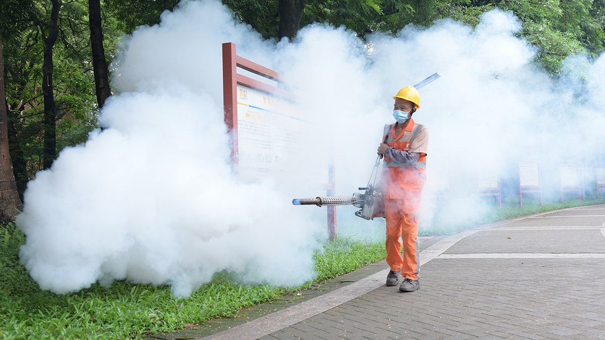 Chikungunya virus outbreak in China