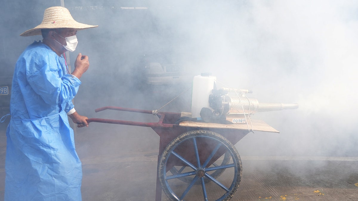 Worker spraying for virus in Guangdog