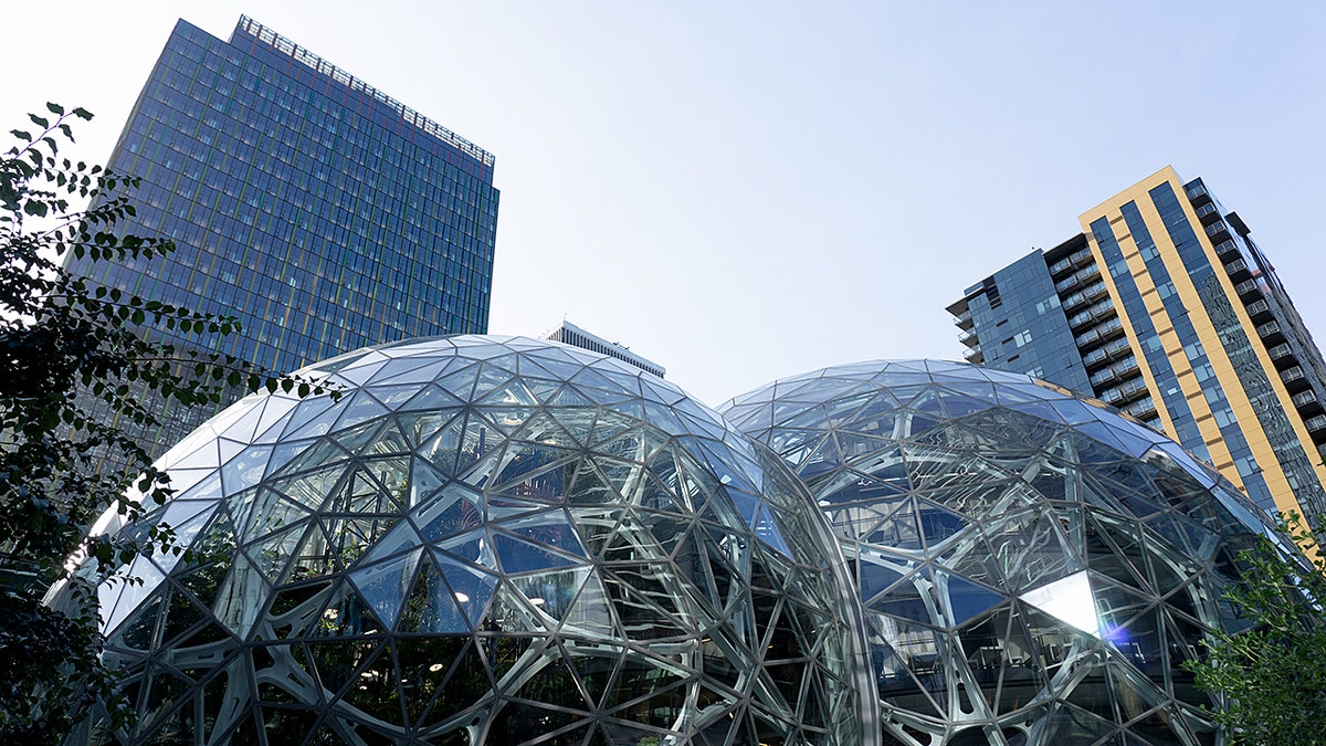 A shot of the Amazon spheres and headquarters