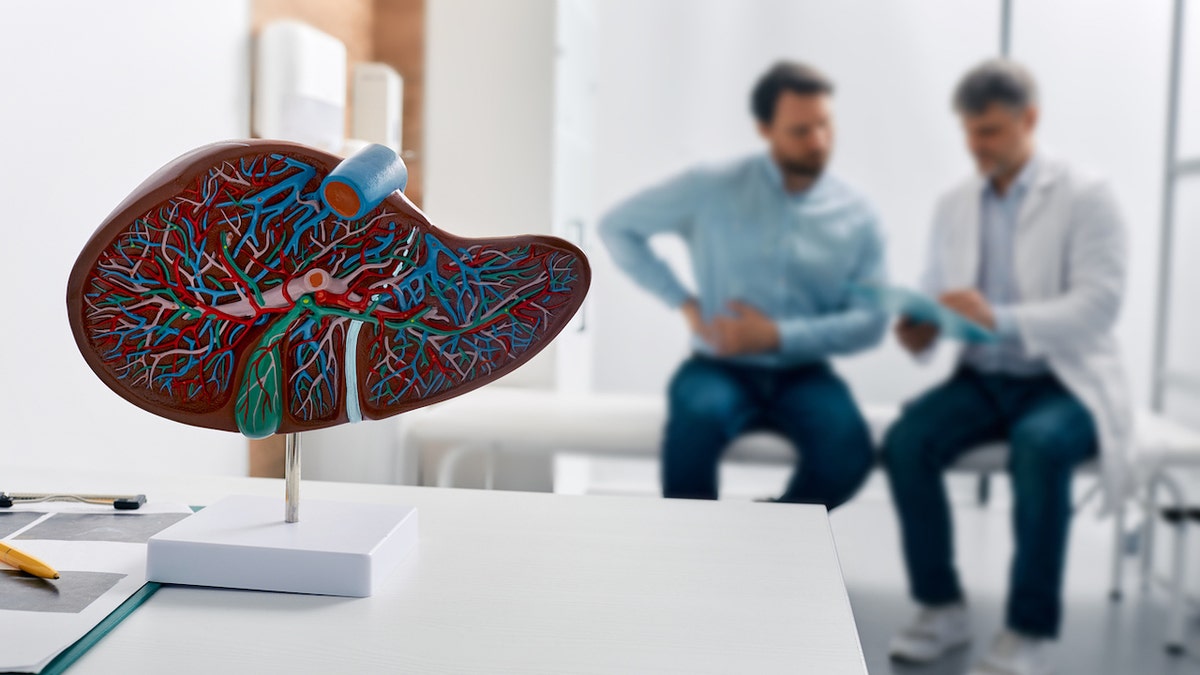 Image representing liver disease, man at doctor