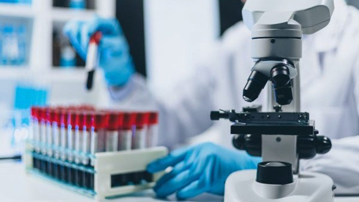 a scientist in a lab