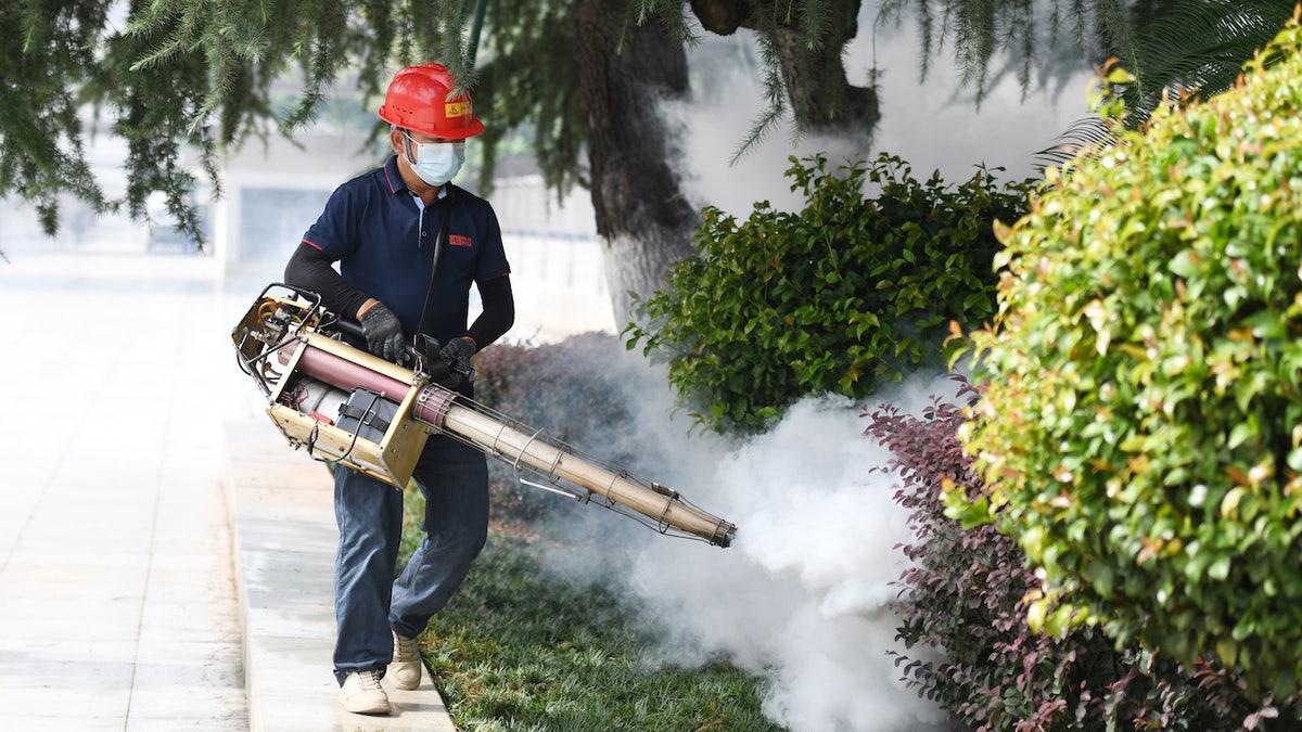 Chikungunya virus - man spraying pesticides