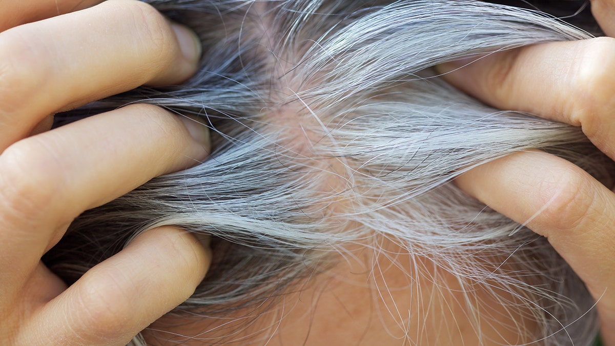 Closeup shot of graying roots on someone's head of hair, their fingers parting it for a better angle.