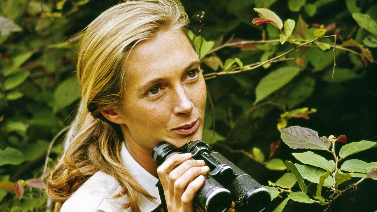 Jane Goodall with binoculars