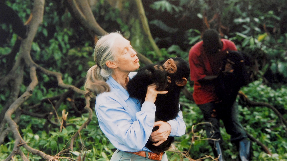 Jane Goodall