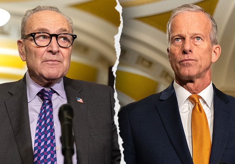 Senate talks show signs of progress as government shutdown grinds into 2nd month