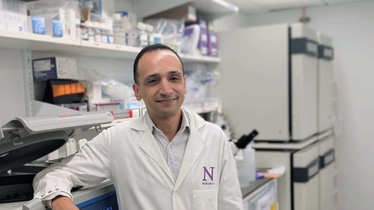 Study senior author Mohamed Abdel-Mohsen in his lab