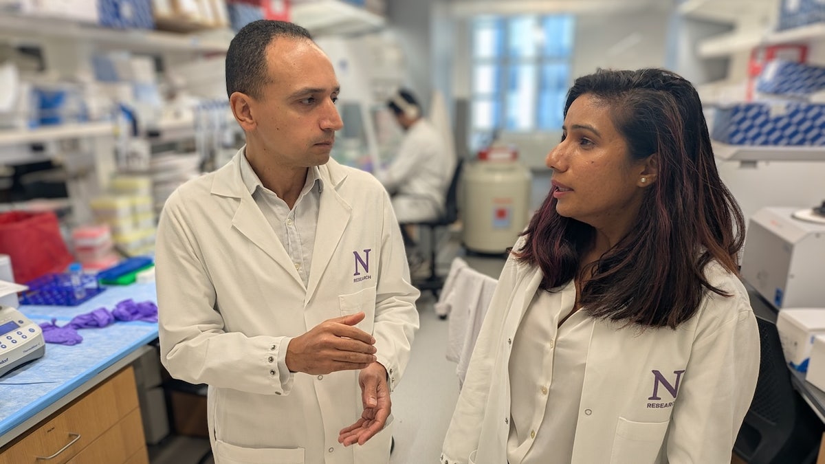 Researchers in Northwestern University lab