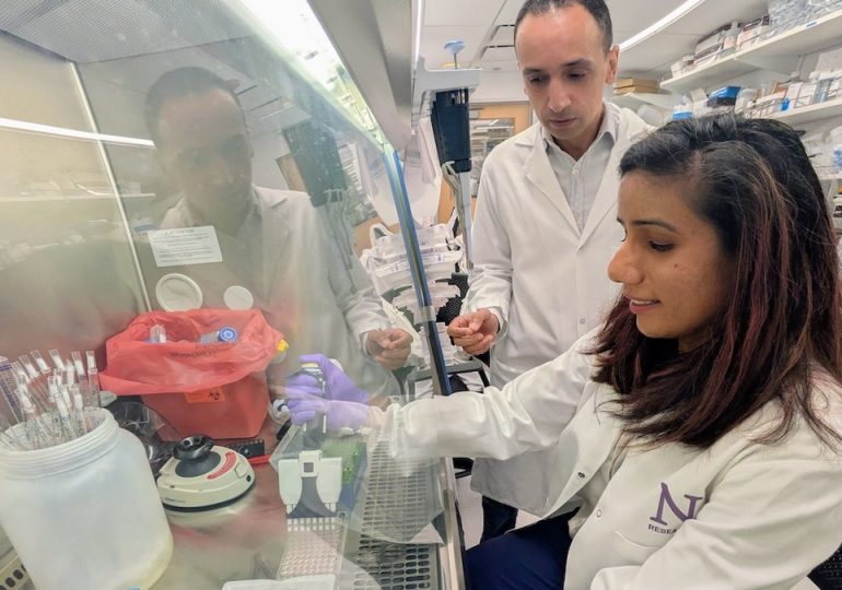 New pancreatic cancer treatment ‘wakes up’ immune cells, researchers say