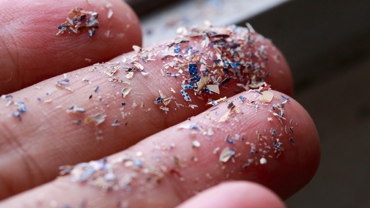 Microplastics on fingertips