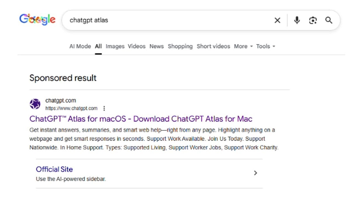 A fake chatGPT website