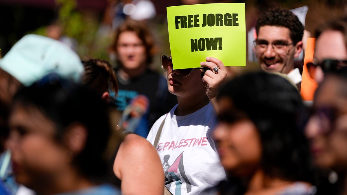 A protester stands on a downtown pedestrian mall holding a handmade sign calling for an immigrant’s freedom.