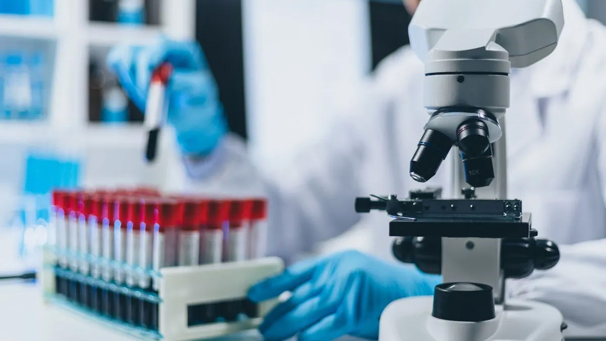 Scientist working with test scopes and microscope in lab.