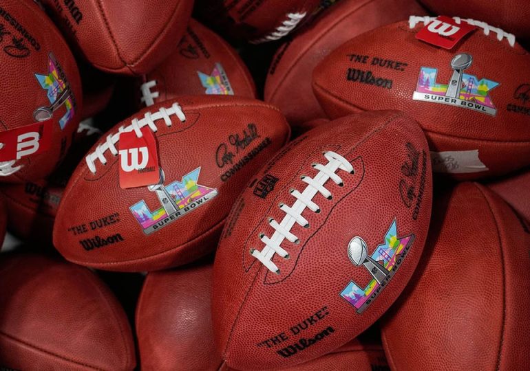 ICE nabs convicted pedophiles and murderers over weekend despite smears at Super Bowl: 'Risking their lives'