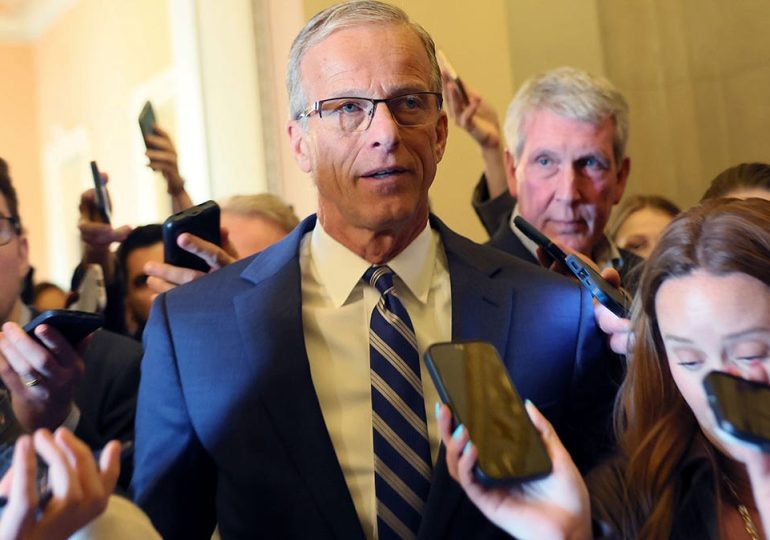 Thune guarantees voter ID bill to hit the Senate despite Schumer, Dem opposition: 'We will have a vote'