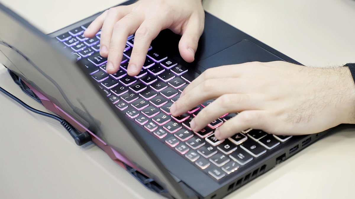 Person typing on their laptop.