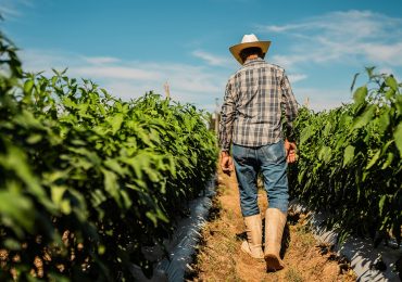 Parkinson's risk increases with exposure to common chemical, study suggests