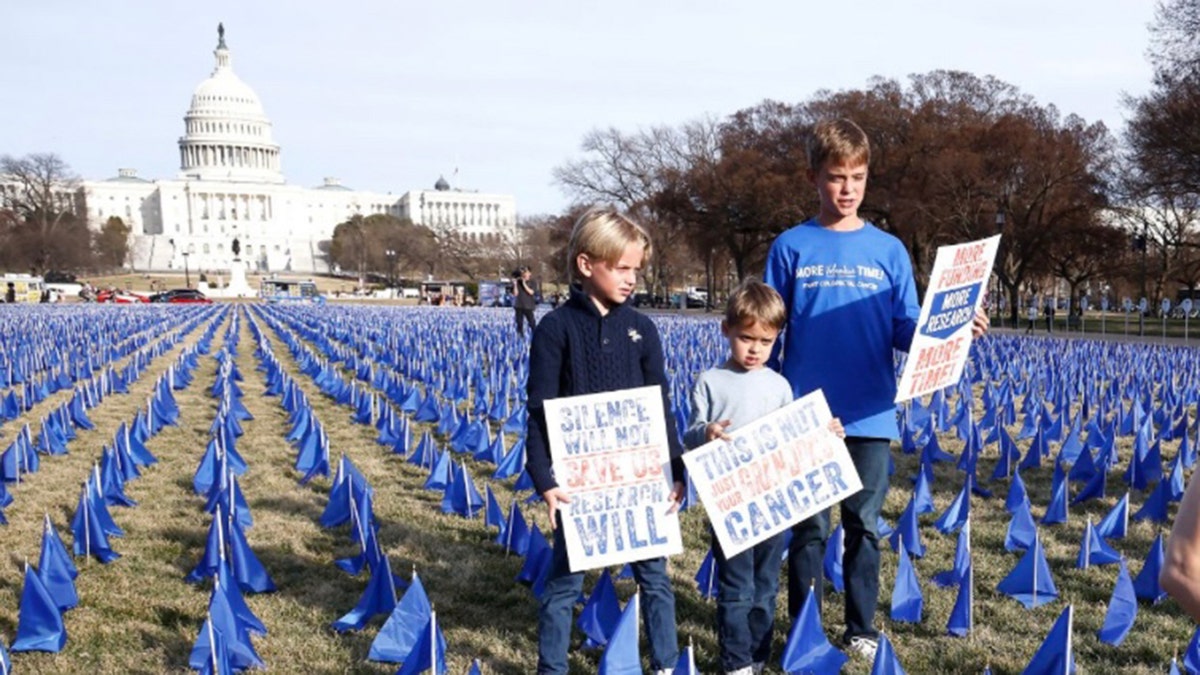 Peters boys hold up signs in front of the united states capitol