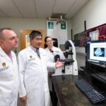 Aggressive brain cancer may respond to high-dose vitamin therapy, study suggests