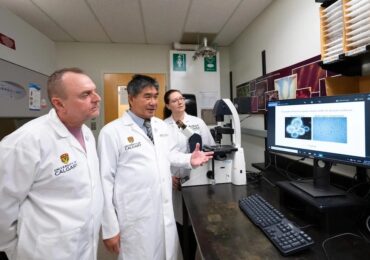 Aggressive brain cancer may respond to high-dose vitamin therapy, study suggests