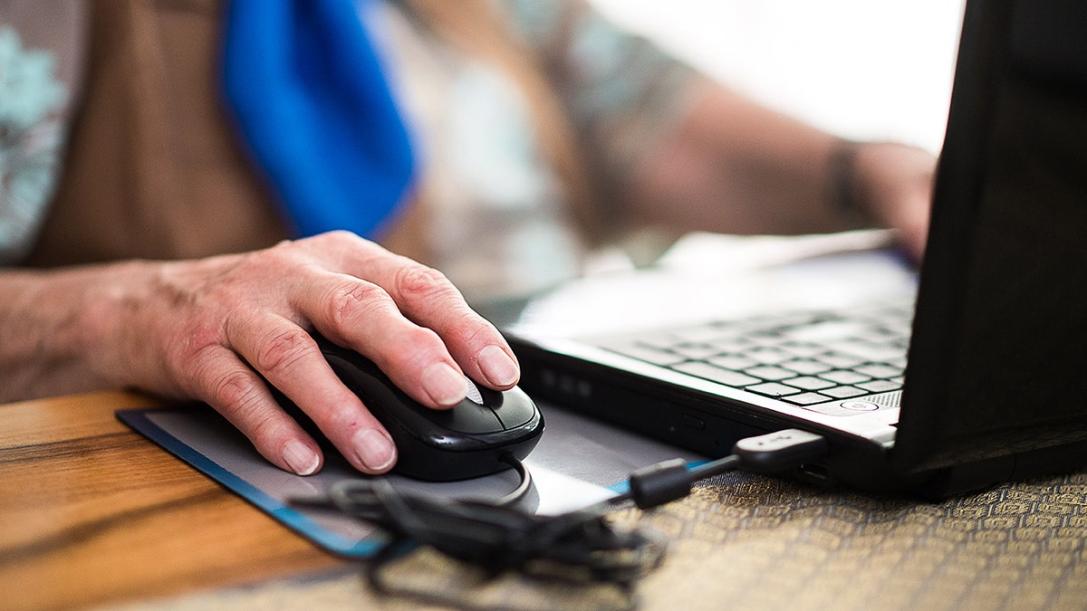Woman using laptop computer indoors