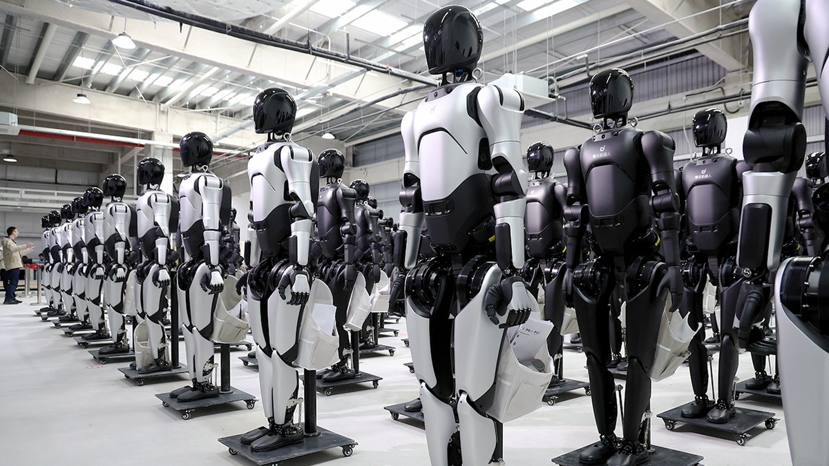 Humanoid robots stand in rows.
