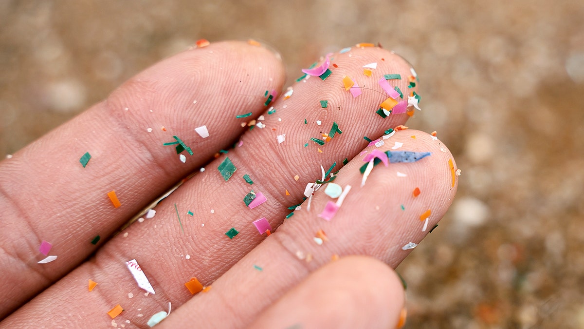 Microplastics resting on a person's hand in close-up side view