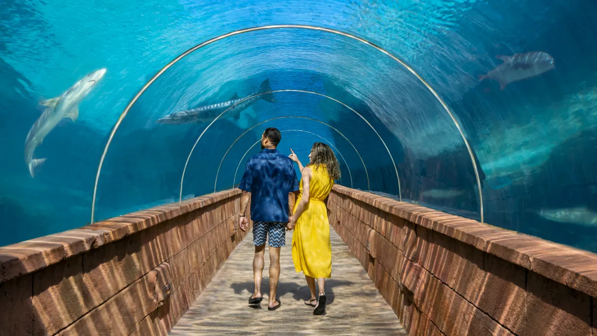 Atlantis experience 100726